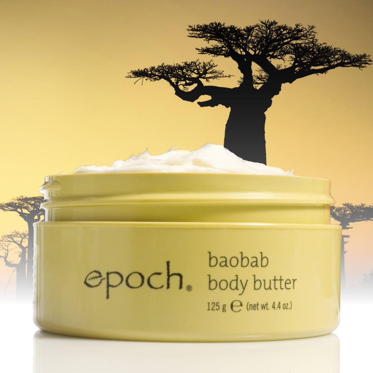 Baobab Body Butter